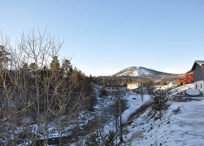 Oen Turistsenter Tatil parkı Geilo